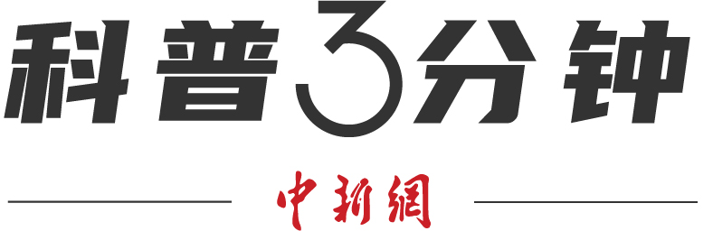 冰球比赛真的可以“合法打架”吗？