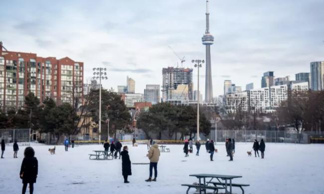 多伦多即将迎来第一场雪！